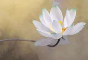 第四卷 光赞般若波罗蜜经全